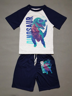 Bộ thun cotton mát mẻ tay ráp lăng in họa tiết khủng long thể thao cho bé trai. * size 6-8 đến 14-16, bé từ 23-55kg</Br>
* thun cotton mềm mại, mỏng vừa mát nhẹ,  hàng lên từ chất liệu hàng xuất, co dãn thấm mô hôi </Br>
* Họa tiết khủng long, bóng chày, cá mập,,, kiểu dáng thể thao cho bé </Br>
* ở nhà đi học đi chơi, đi đâu cũng tiện lợi, năng động tự tin cho con trai </Br>
bảng size tham khảo : </Br>
6-8: 22-26kg </Br>
8-10: 27-32kg </Br>
10-12: 33-38kg </Br>
12-14: 39-45kg </BR>
14-16: 45-55kg